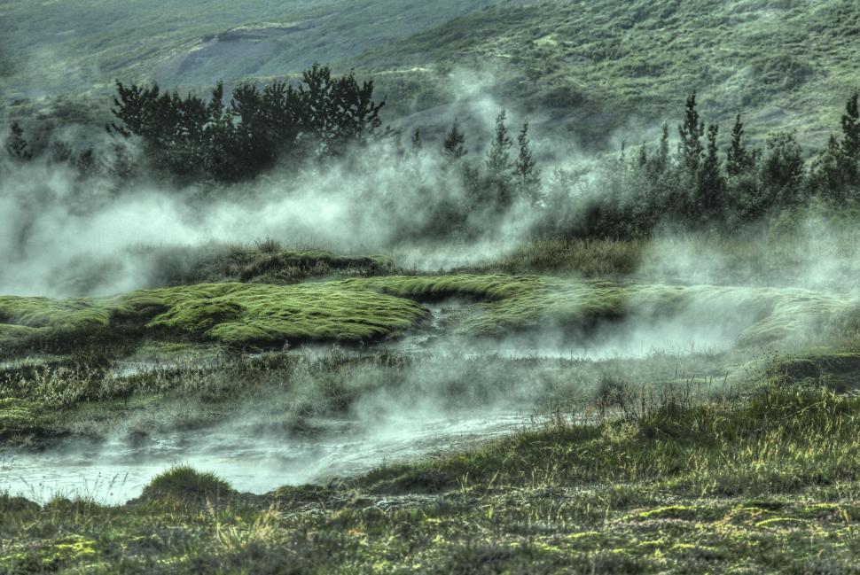 Free Image of Steam rising from hot springs in greenery 