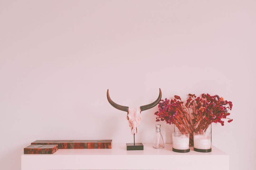 Free Image of Minimalist shelf decor with skull and flowers 