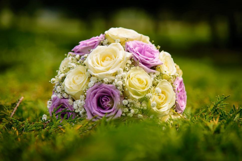 Free Image of Beautiful bridal bouquet on grass 