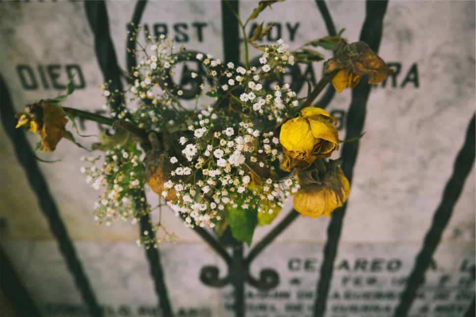 Free Image of Withered flowers on a grave, vintage tone 