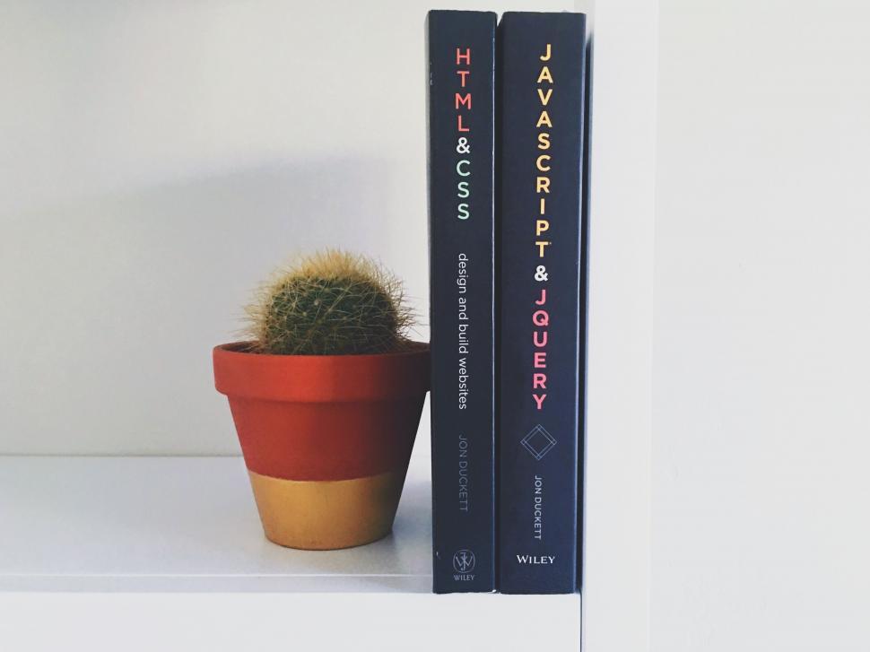 Free Image of Books and cactus on a shelf 