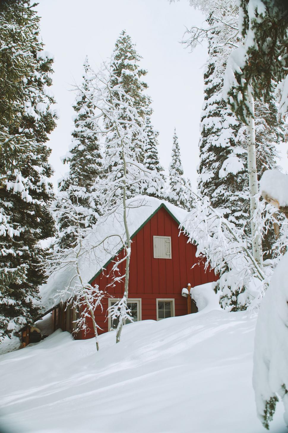 Free Image of Red cabin surrounded by snowy trees 