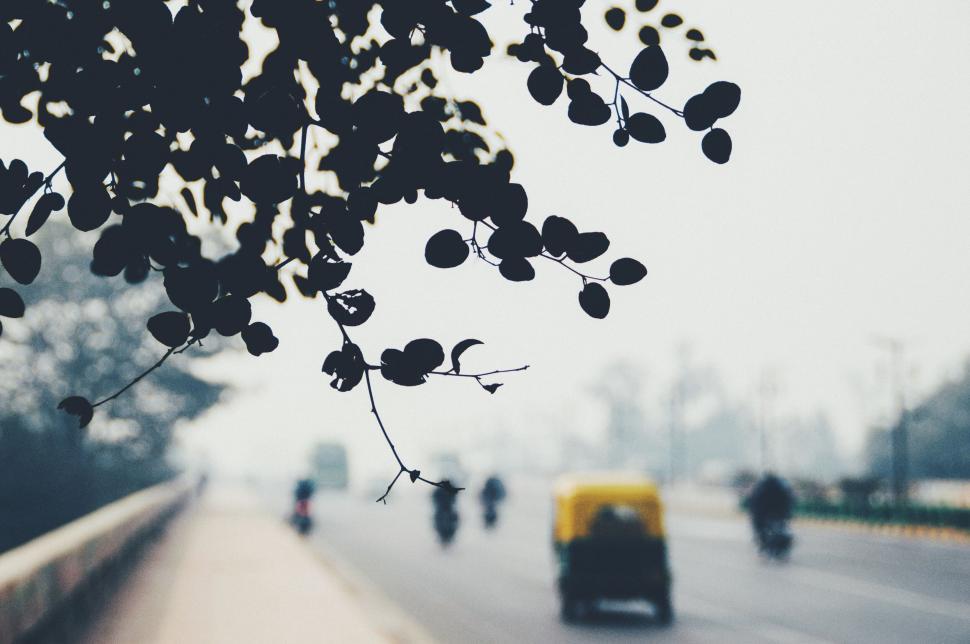 Free Image of Silhouetted tree branches with traffic 