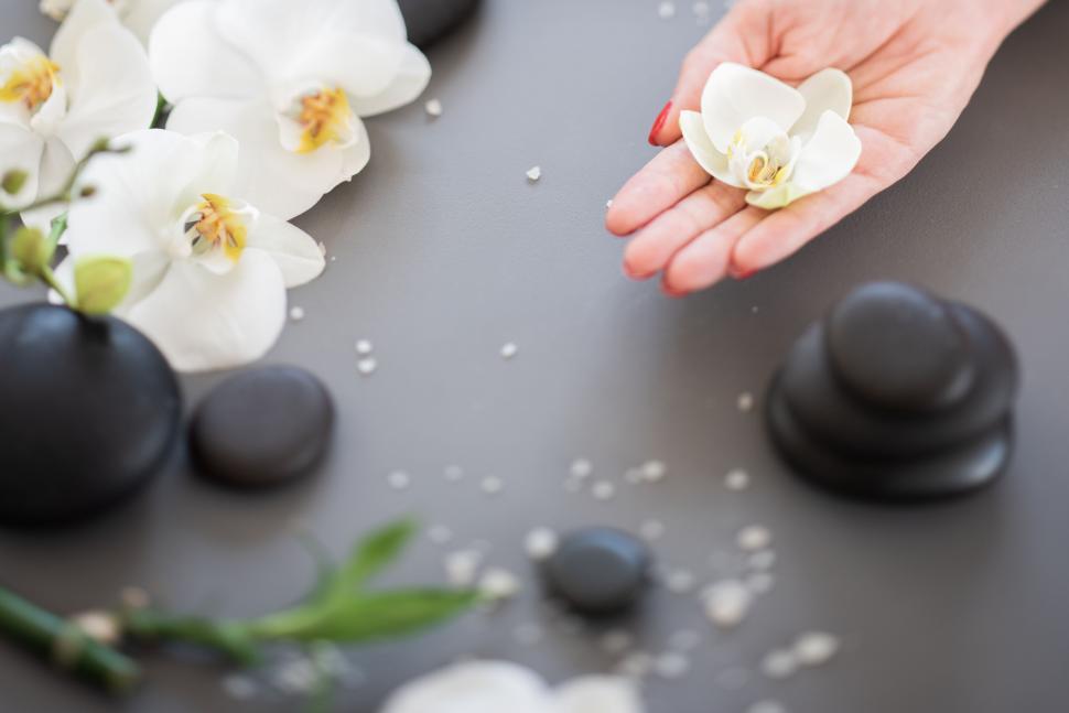 Free Image of Hand with spa elements and orchid flowers 