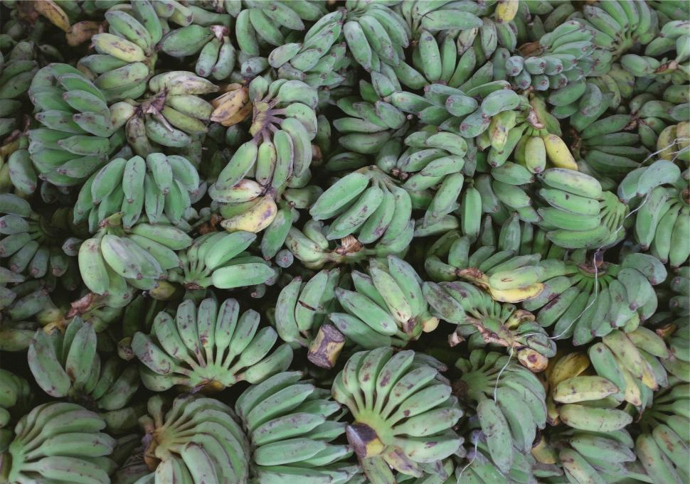 Free Image of Pile of green bananas close-up view 
