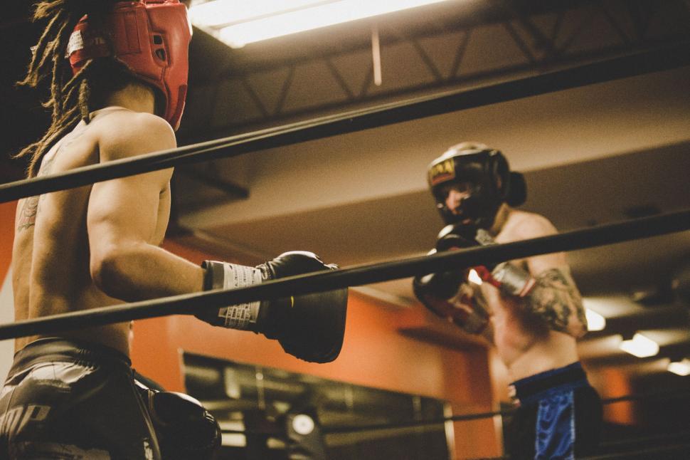 Free Image of Boxing training session in gym 