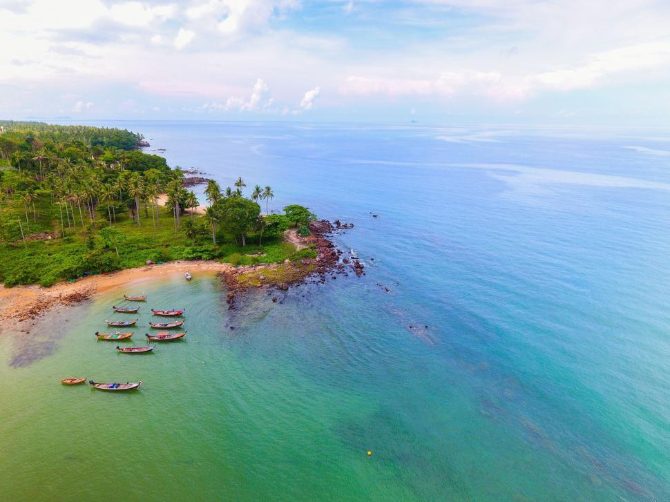 Free Image of Tropical coastline with boats and trees 