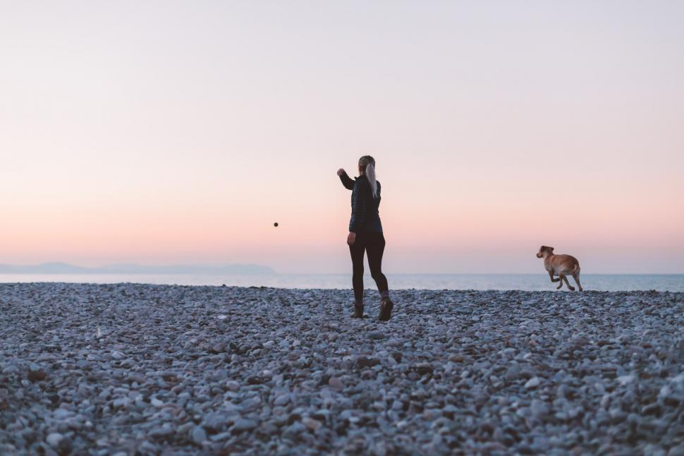 Free Image of Woman playing fetch with dog on pebble beach 
