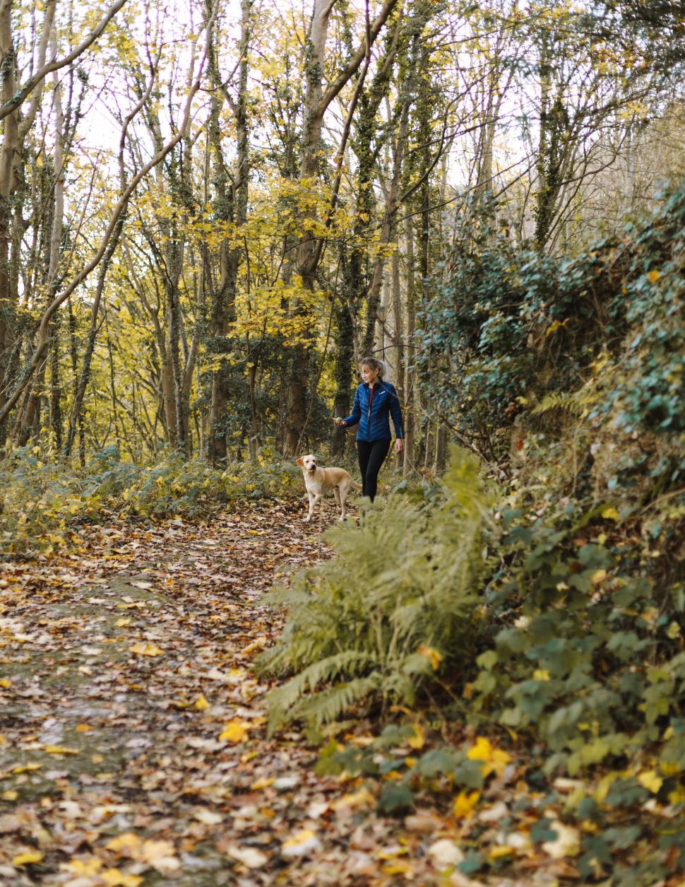 Free Image of Person and dog walking together on forest path 