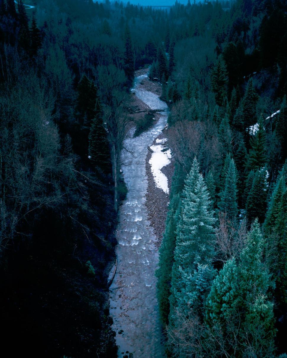 Free Image of Dark river flowing through forest 