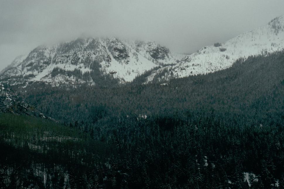 Free Image of Snow-covered mountains with forest foreground 