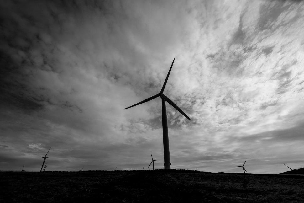 Free Image of Silhouette of wind turbines at dusk 