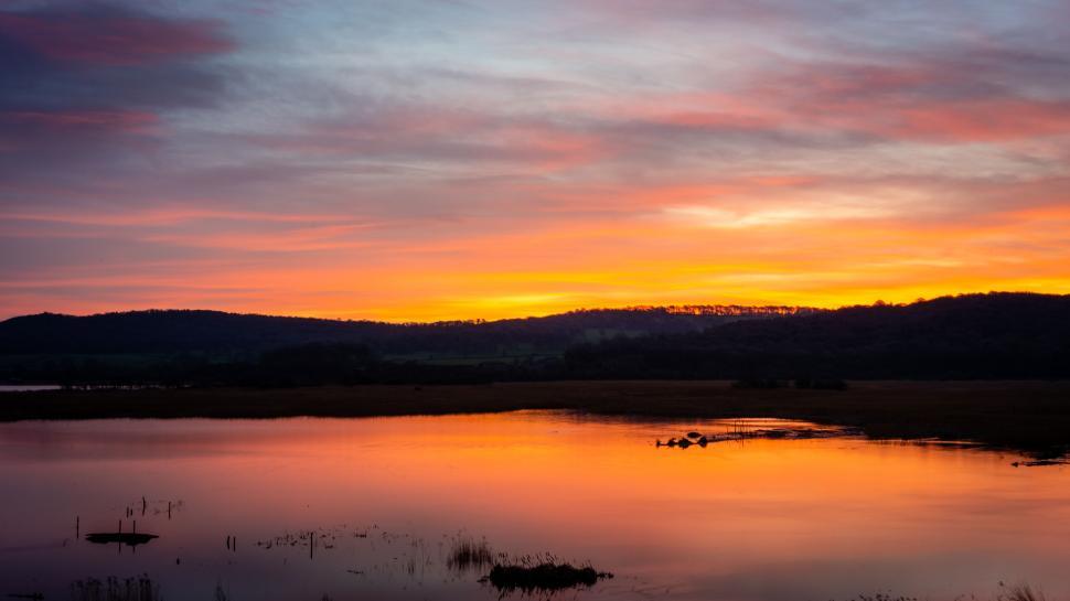 Free Image of Vibrant sunset over a tranquil marshland 