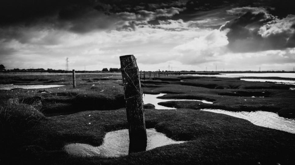 Free Image of Solitary wooden post in a coastal marsh 