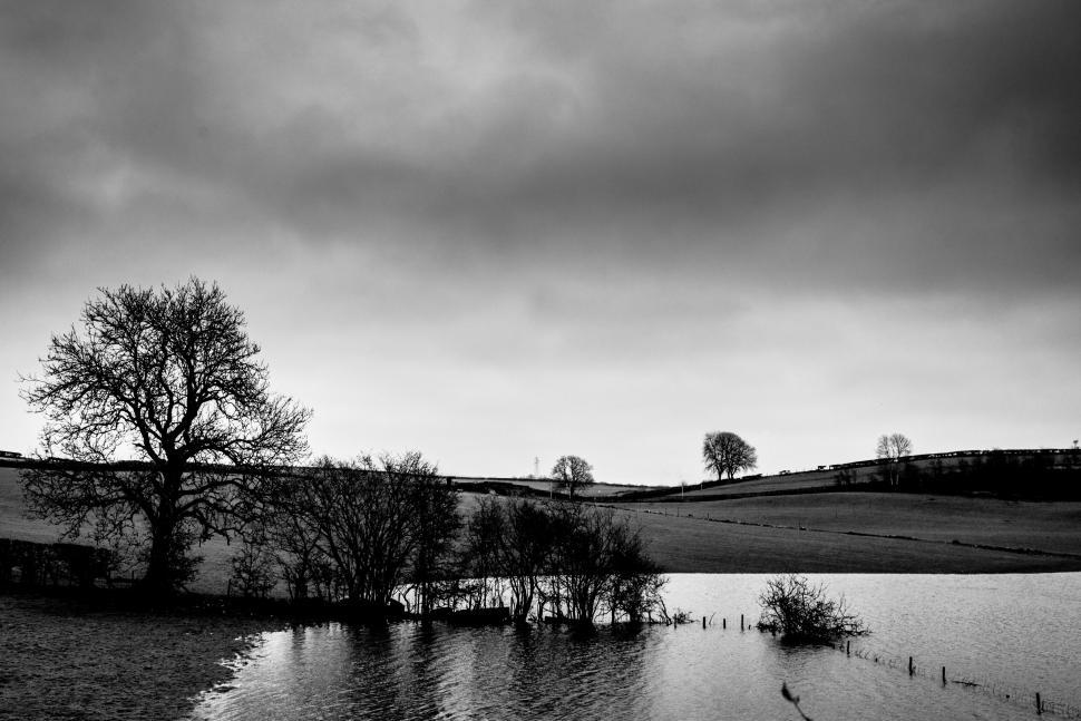 Free Image of Black and white flooded landscape with tree 