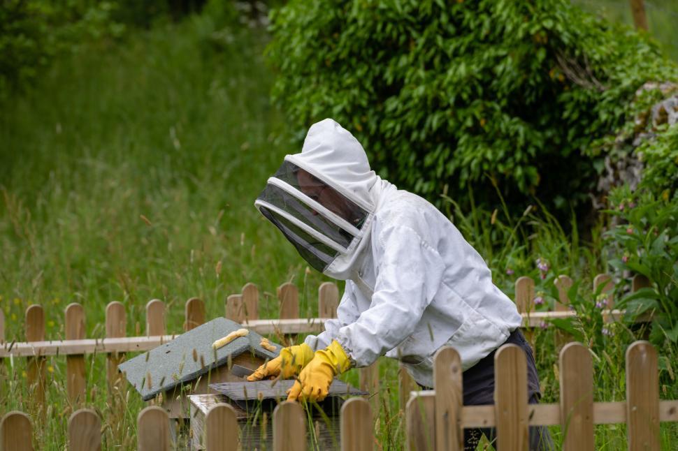 Free Image of Beekeeper working in the garden 