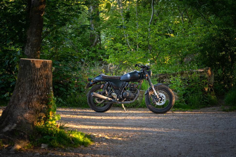 Free Image of Vintage motorcycle parked on forest path 