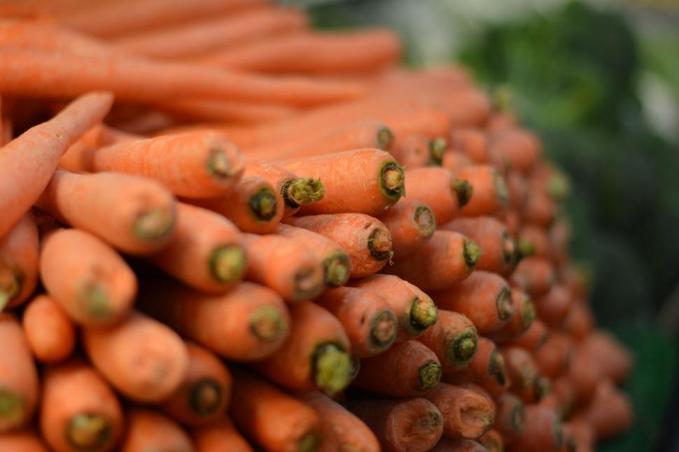 Free Image of Bunch of fresh carrots on display 