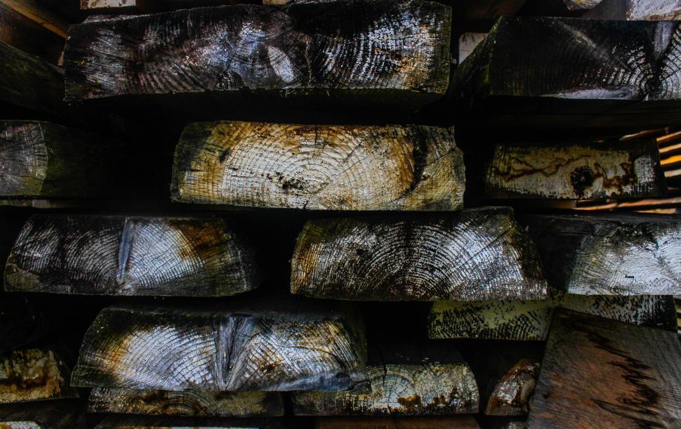 Free Image of Pattern of charred wooden logs 