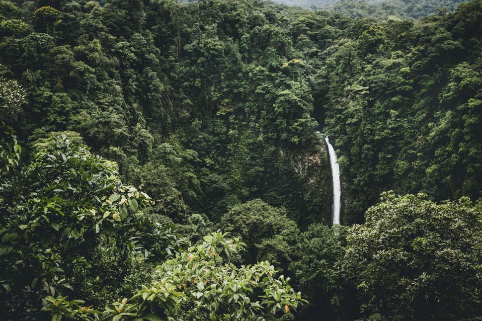Free Image of Waterfall in lush tropical forest 