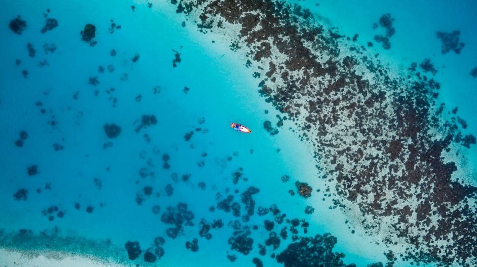 Free Image of Kayak in the middle of a coral reef waters 