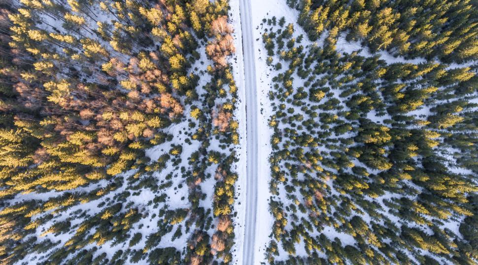 Free Image of Aerial shot of snowy forest and road 