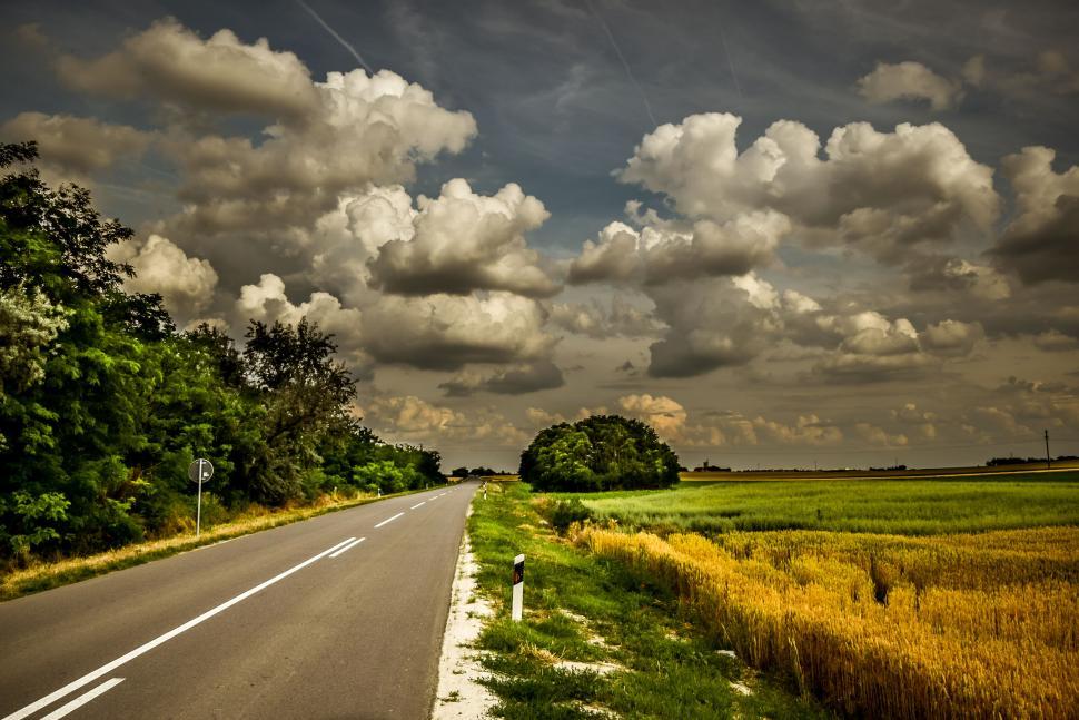 Free Image of Country road passing through wheat fields 