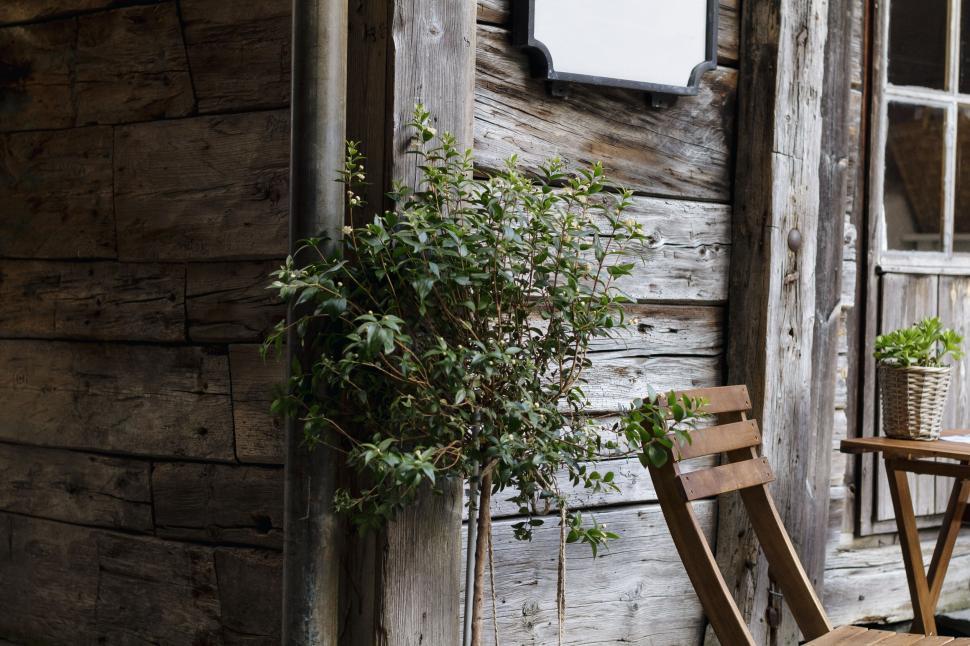 Free Image of Rustic wooden cabin corner with plants 