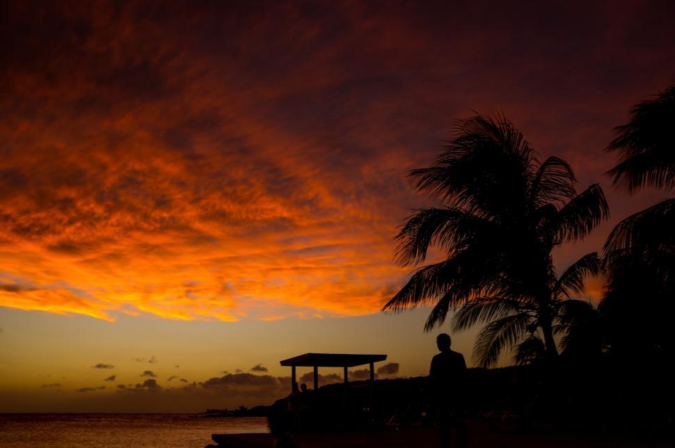 Free Image of Sunset silhouette with tropical backdrop 