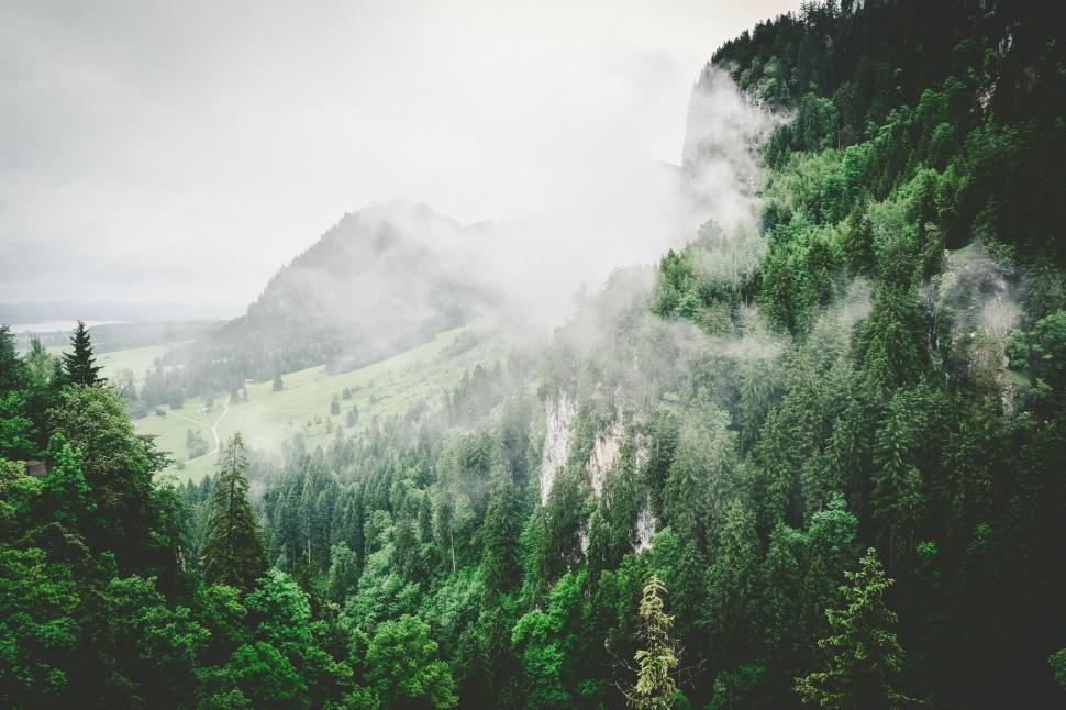 Free Image of Misty forested mountains with greenery 