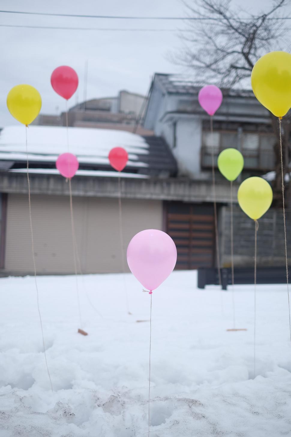 Free Image of Colorful balloons in snowy setting 