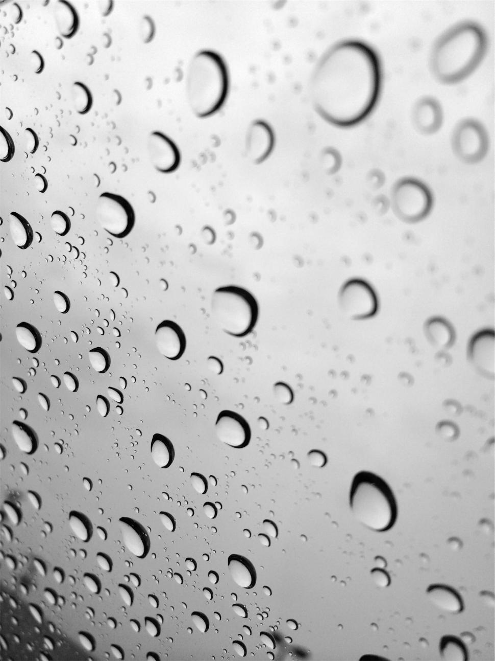 Free Image of Raindrops on a window glass surface 