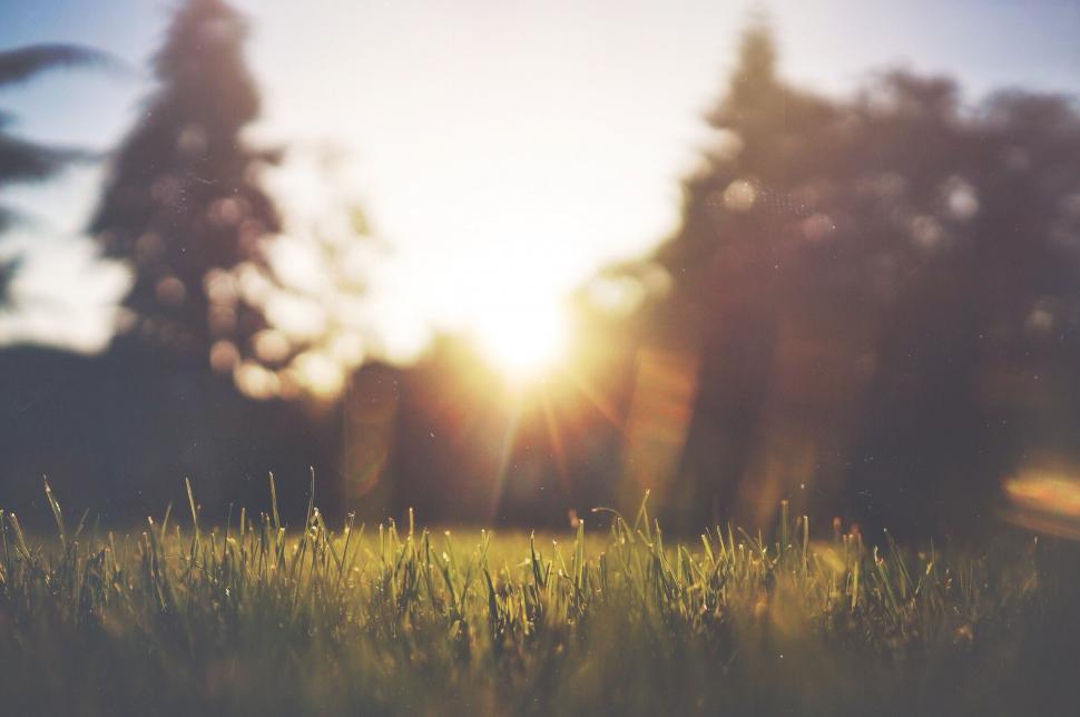 Free Image of Sunset casting a warm glow over a meadow 