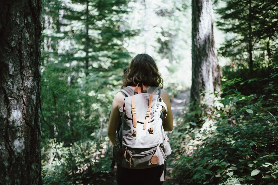 Free Image of Hiker with backpack in lush forest 