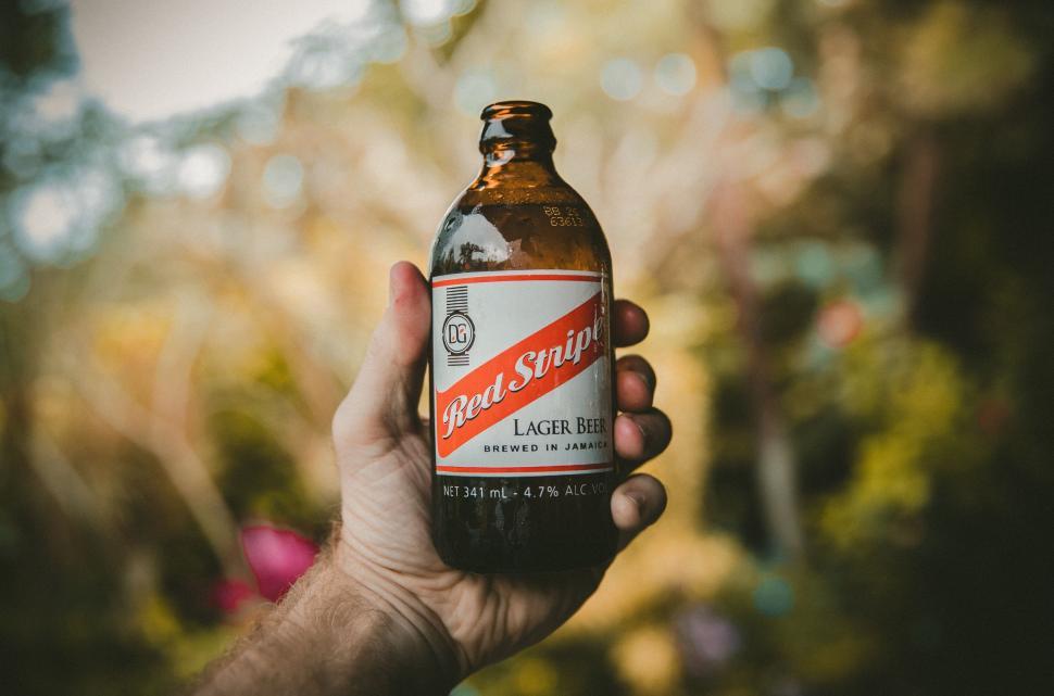 Free Image of Hand Holding Red Stripe Beer Bottle 