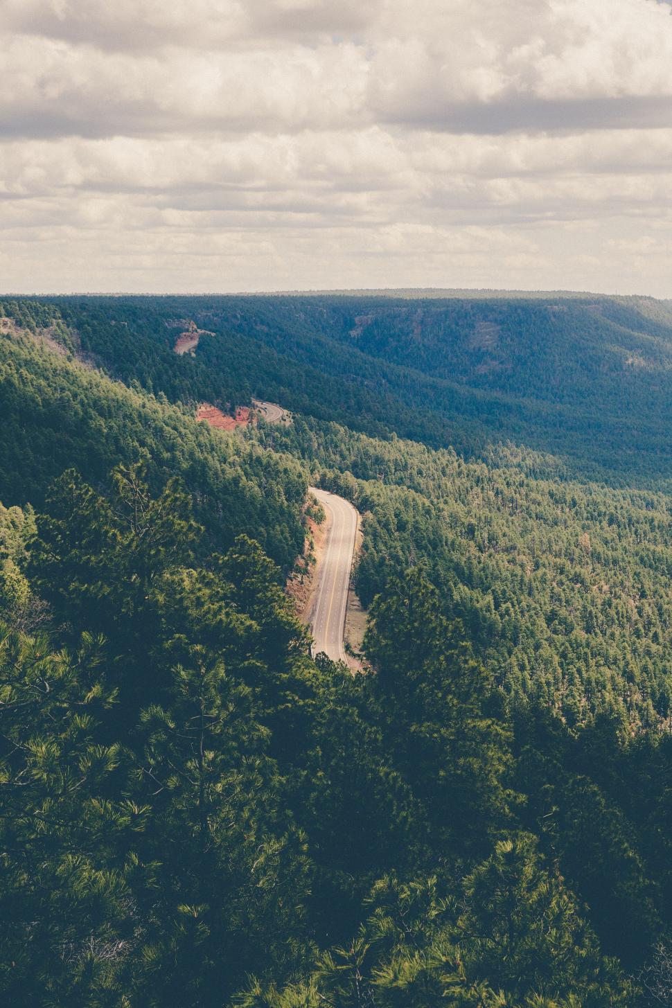 Free Image of Aerial view of a road in lush forest 
