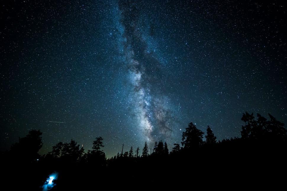 Free Image of Milky Way galaxy above a forest skyline 