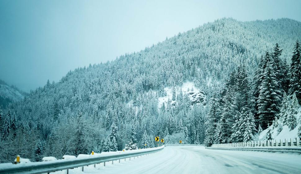 Free Image of Snowy winter road through alpine forest 