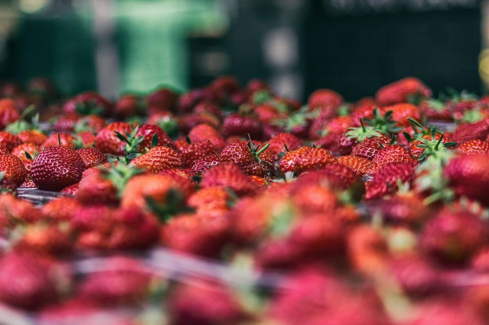 Free Image of Fresh strawberries in abundance at market 