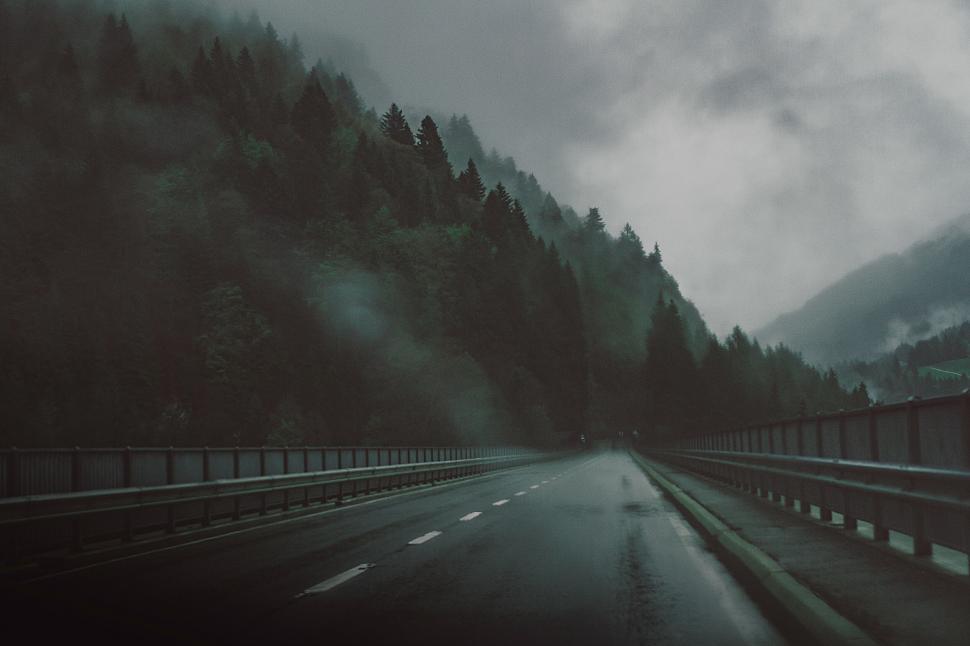 Free Image of Misty forest road with rain and fog 