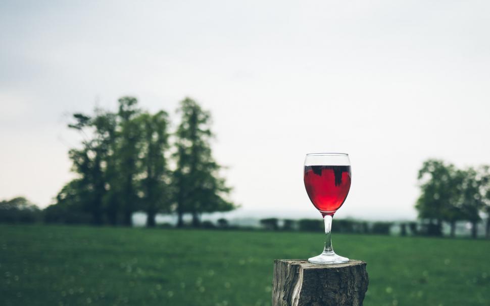 Free Image of Red wine glass on a wooden post in field 
