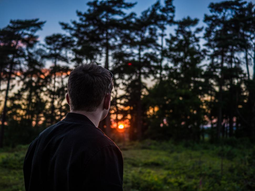 Free Image of Man watching sunset in forest 