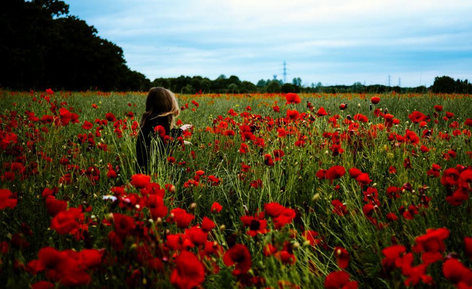 Free Image of Woman in field of red poppies looking away 