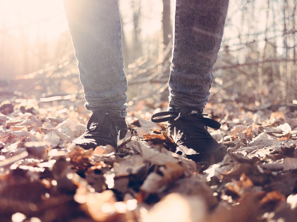 Free Image of Person s feet in autumn leaves with sunlight 