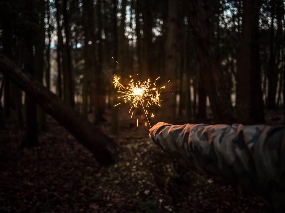 Free Image of Hand holding a lit sparkler in the forest 