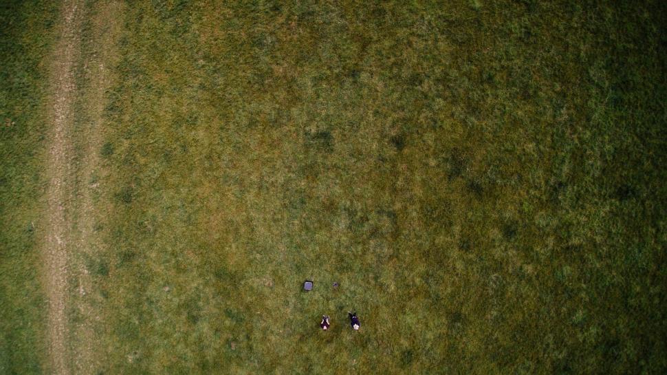 Free Image of Aerial View of Two People Lying on Grass 
