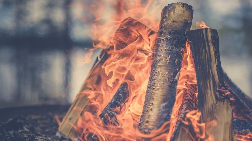 Free Image of Burning wood in a fire pit 