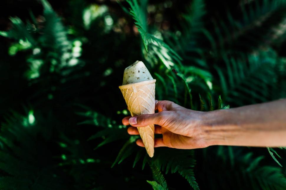Free Image of Hand holding ice cream cone in greenery 