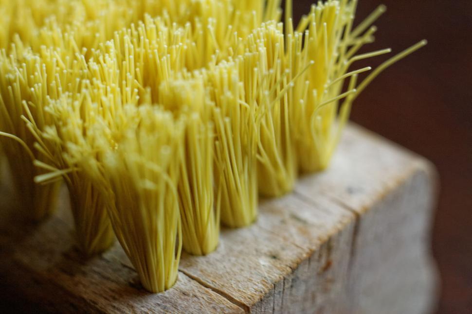 Free Image of Close-up of uncooked spaghetti strands 