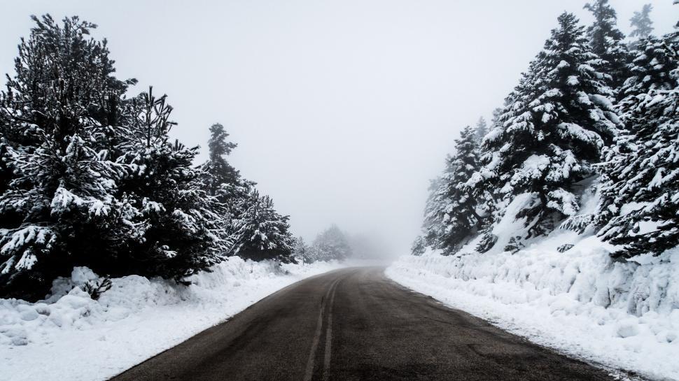 Free Image of Snowy road through a forest 
